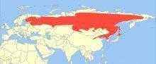обыкновенная летяга, белка, ареал, карта