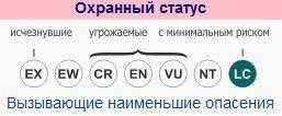 охранный-статус-гонгала