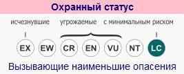 охранный-статус-канадского-бобра