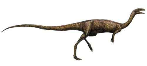 elafrozavr