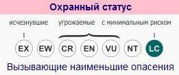 ohrannyj-status-obyknovennogo-bobra