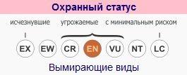 ohrannyj-status-pirenejskoj-rysi