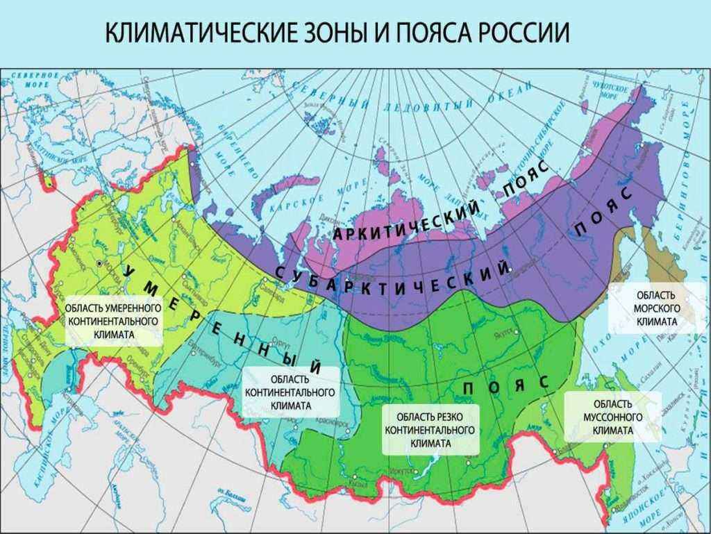 Какой климат характерен для России — арктический, субарктический, умеренный и субтропический