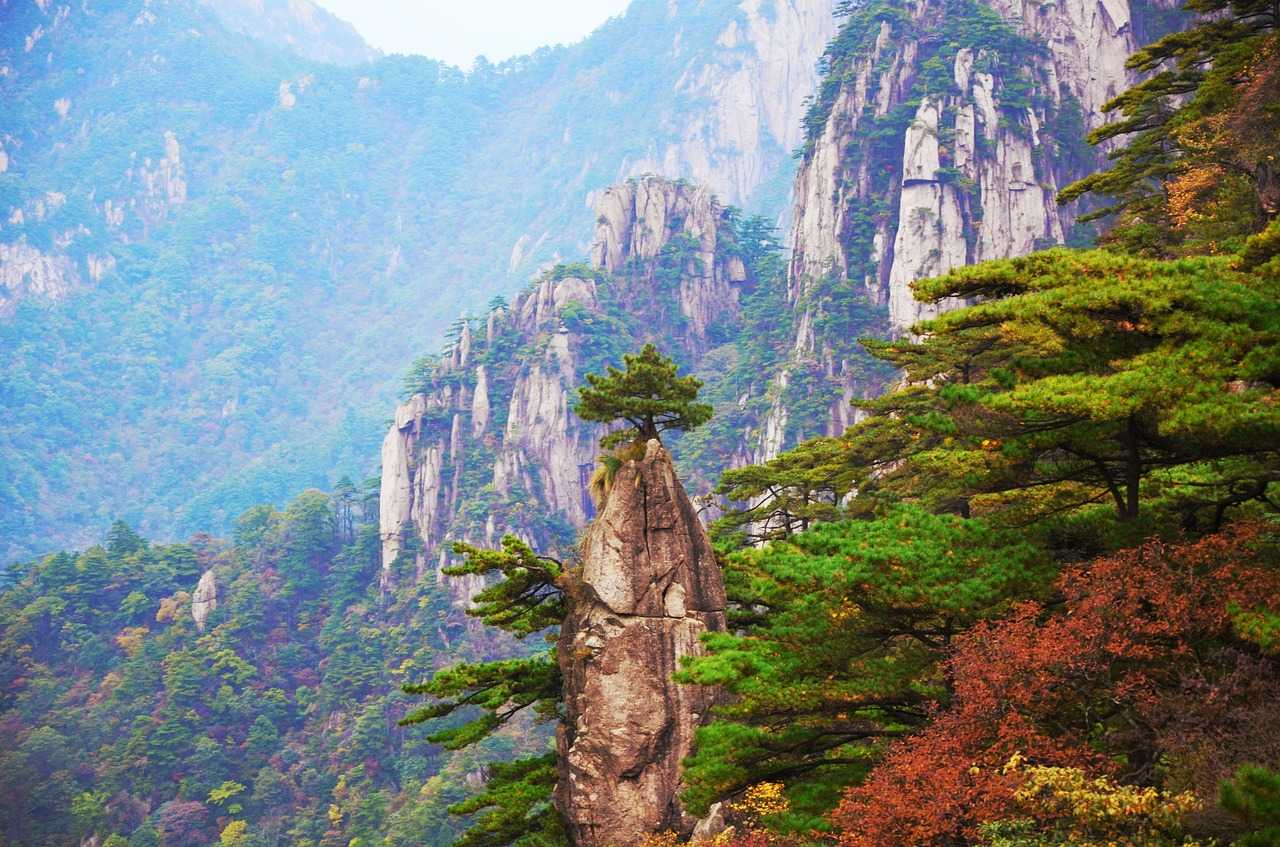Природа, флора и фауна Китая - характеристика и фото