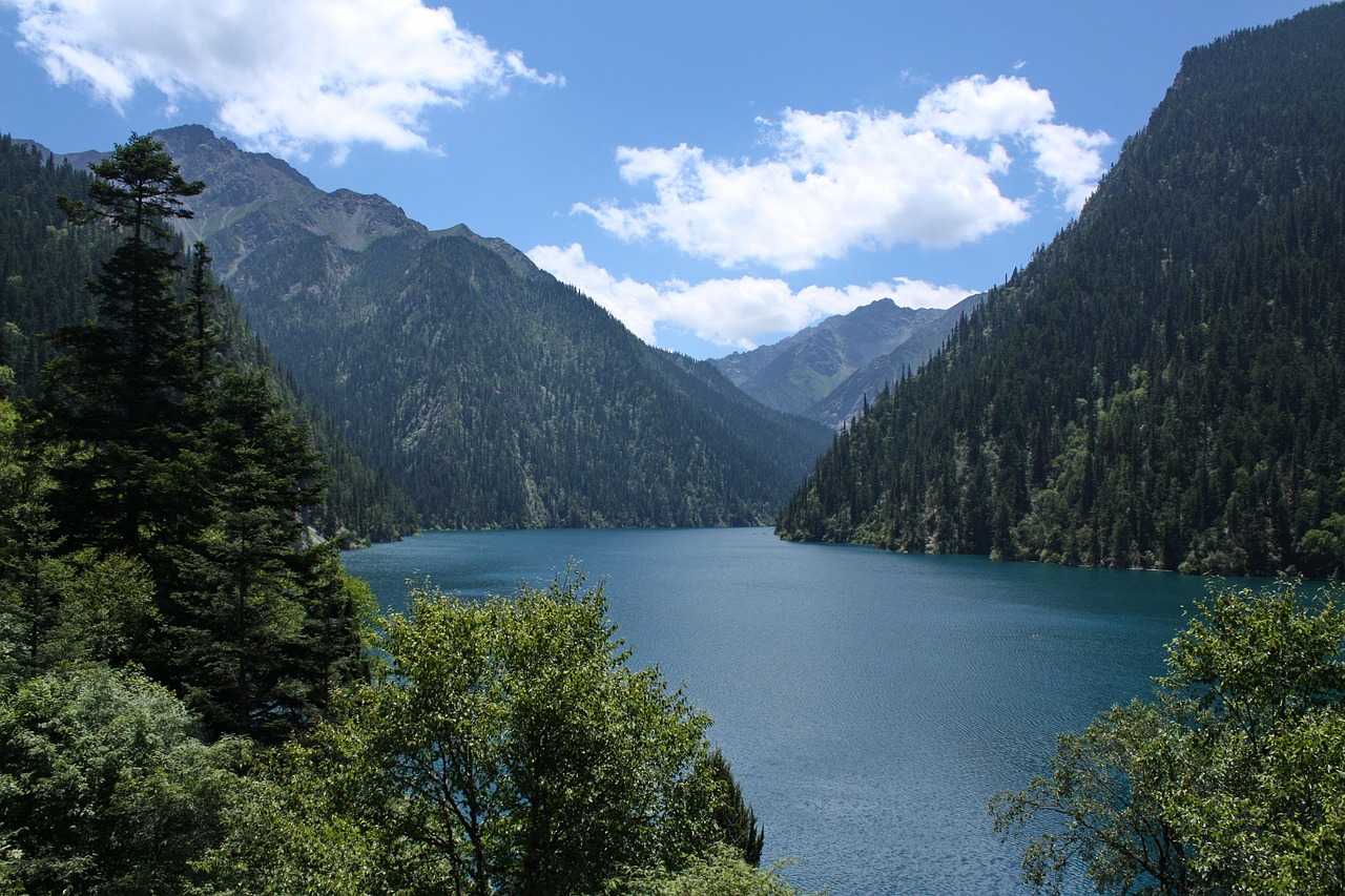 Природа, флора и фауна Китая - характеристика и фото