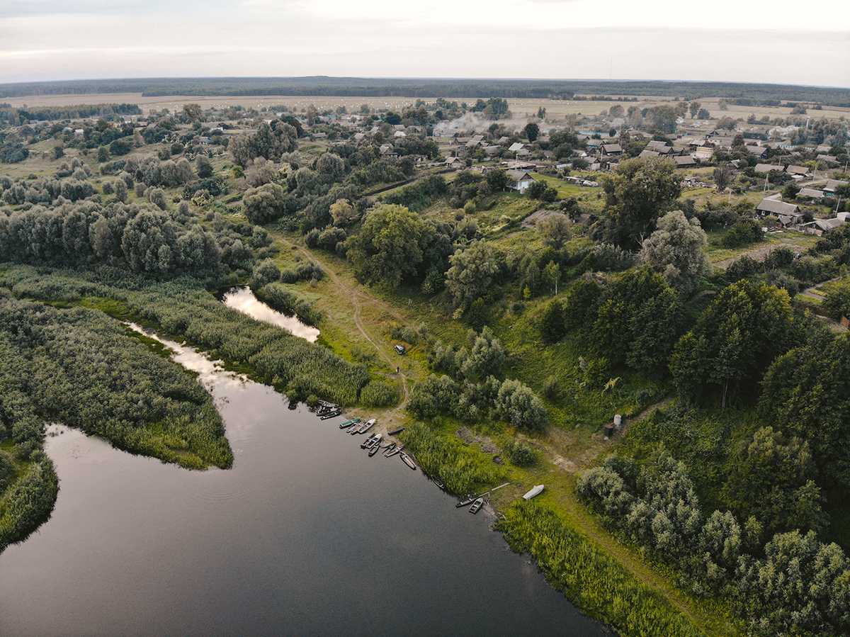 Природа, флора и фауна Беларуси — характеристика и фото